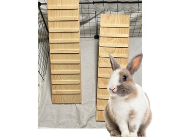 Rabbit Ramp with SIDES Option 14lb 5.5-11.25 Inches wide 10-70 Long Mini Lop Rabbit Ramp, Flemish Giant Rabbit Ramp, Rex Rabbit Ramp 24_1