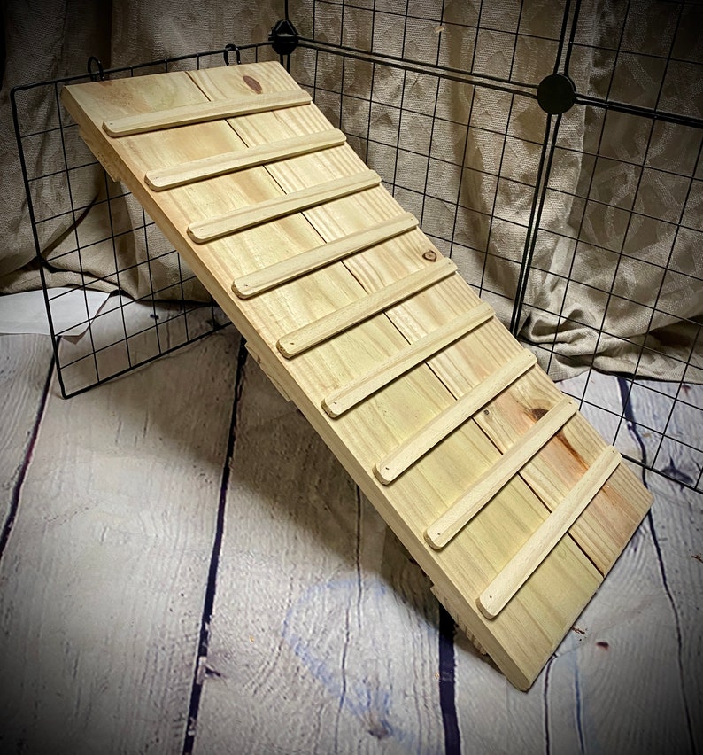 Wide Chicken Coop Ramp, Pine Wood, Outdoor Ladder, Eglu Compatible - Etsy