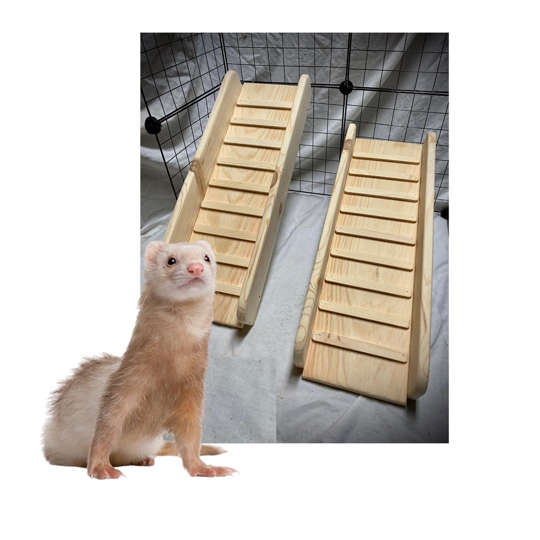 FERRET Ramp 5.5, 7.25, 9.25 and 11.25 Inches Wide Indoor With SIDES