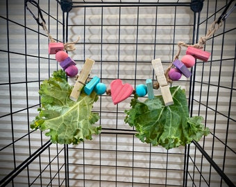 Valentines Day Heart Garland Grazing forager Chew Toy 12-14" long small pet Great for a hamster, hedgehog, gerbil, guinea pig, mice, rabbit