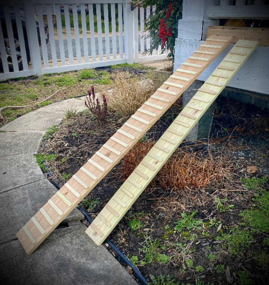 Chicken ladder deals