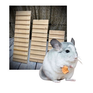 Prevue Pet Products Earthtone Dusted Rose Rat & Chinchilla Cage