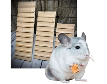 Kiln Dried Pine Chinchilla Ramp with Sides: Treaded Indoor Ramp