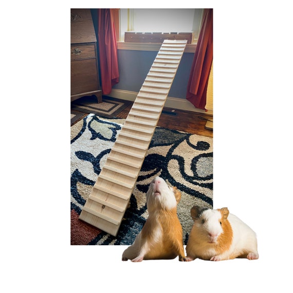 GUINEA PIG Ramp With SIDES Option 5.511.25 Inches Wide Etsy