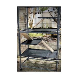 Ferret Nation Ramp 3 Ramp BUNDLE Models 161 162 and 163 Critter Nation Cage Ramp Replacement Guinea Pig Ferret Hedgehog Chinchilla Indoor Etsy Canada