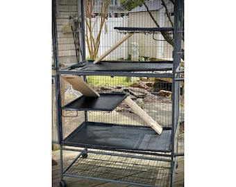 Ferret Nation Cage Ramp Set: Kiln Dried Pine, Indoor Use