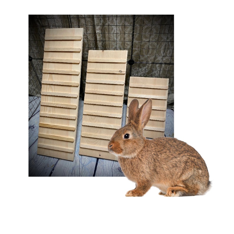 Rabit Ramp Kiln Dried Pine Rabbit Ramp With Sides: Indoor Cage Attachment - Etsy