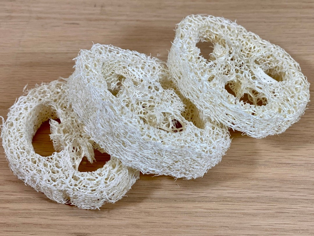 3 All Natural Loofah Slice Chew Toy for Small Animals Great for Gerbil