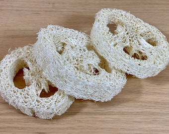3" All natural loofah slice Chew toy for small animals Great for gerbil, rabbit, guinea pig, hedgehogs, mice, gerbils