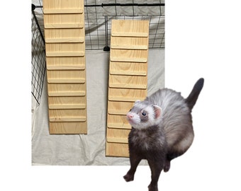 Indoor Ferret Ramp with Sides: Adjustable Kiln-Dried Pine