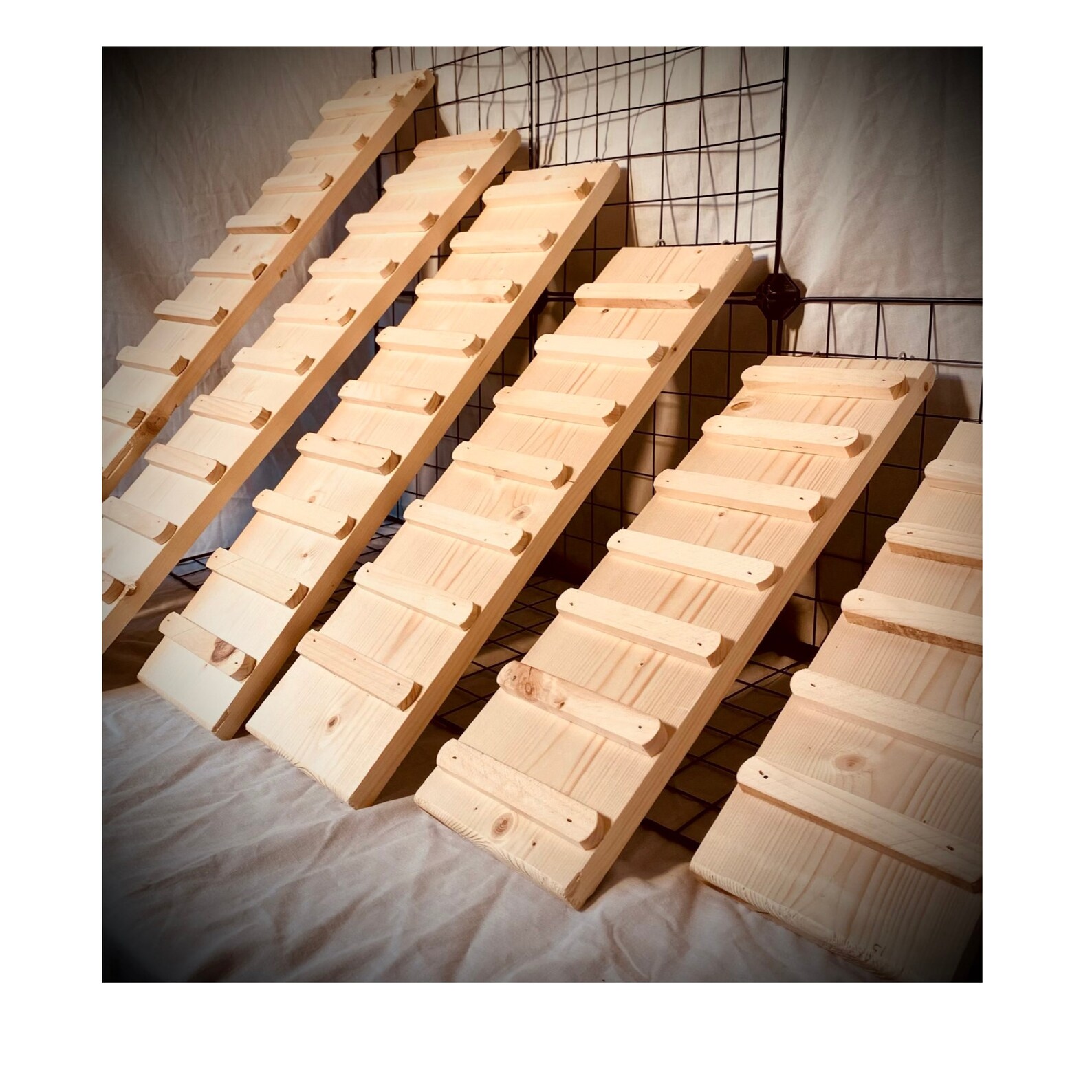 INDOOR Guinea Pig Ramp Rabbit Ramp Hedgehog Ramp With Sides Etsy