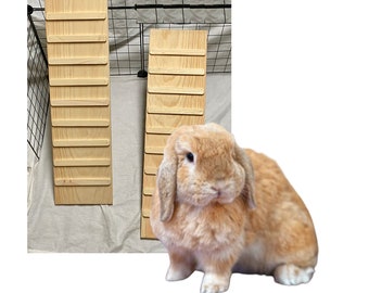 Handcrafted Rabbit Ramp with Sides: Kiln Dried Pine, Treaded
