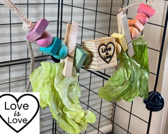 Love is Love Garland Small Pet Toy 12" Grazing Forager Upcycled Pine LGBTQ Pride Colors Chew Toy Critter Guinea Pig Bird Rabbit Ferret
