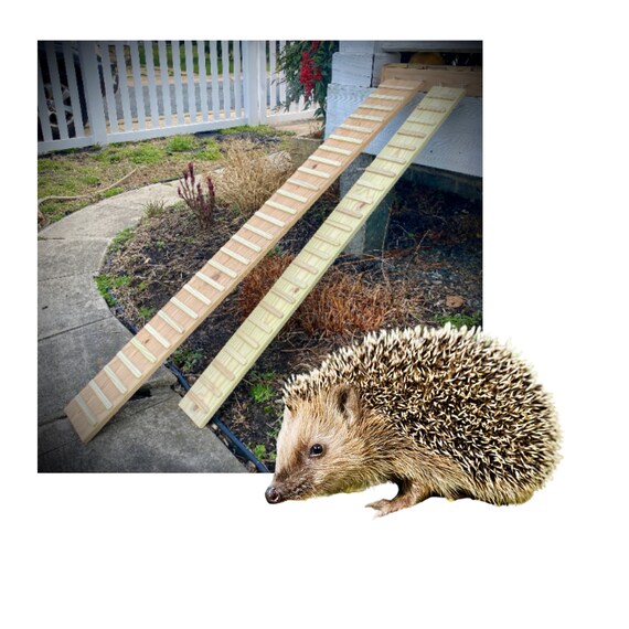 Hedgehog Ramp With SIDES Option 5.5 and 7.5 Inches Wide 1070 Etsy