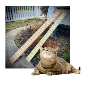 OUTDOOR Cat Ramp with SIDES Option 5.5 and 7.5 Inches wide 10-70 Long Outdoor  Cat ramp, kitten ramp, feline ramp, kitty cat ramp, 24_1