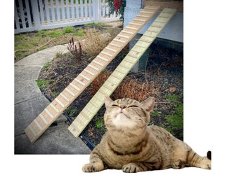 Outdoor Cat Ramp with Sides: Pressure-Treated Pine, 10-70 Inches Long