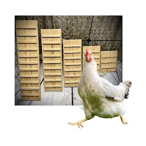 May include: Five wooden chicken perches of varying sizes, with a white chicken standing in front of them. The perches are made of natural wood and have a rustic look.
