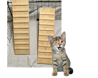 Handcrafted Cat Ramp with Sides: Indoor Pine Wood Ladder