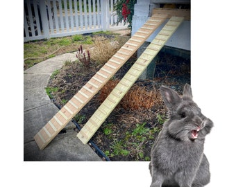 Handcrafted Outdoor Rabbit Ramp: Pressure-Treated Pine, Secure Hooks