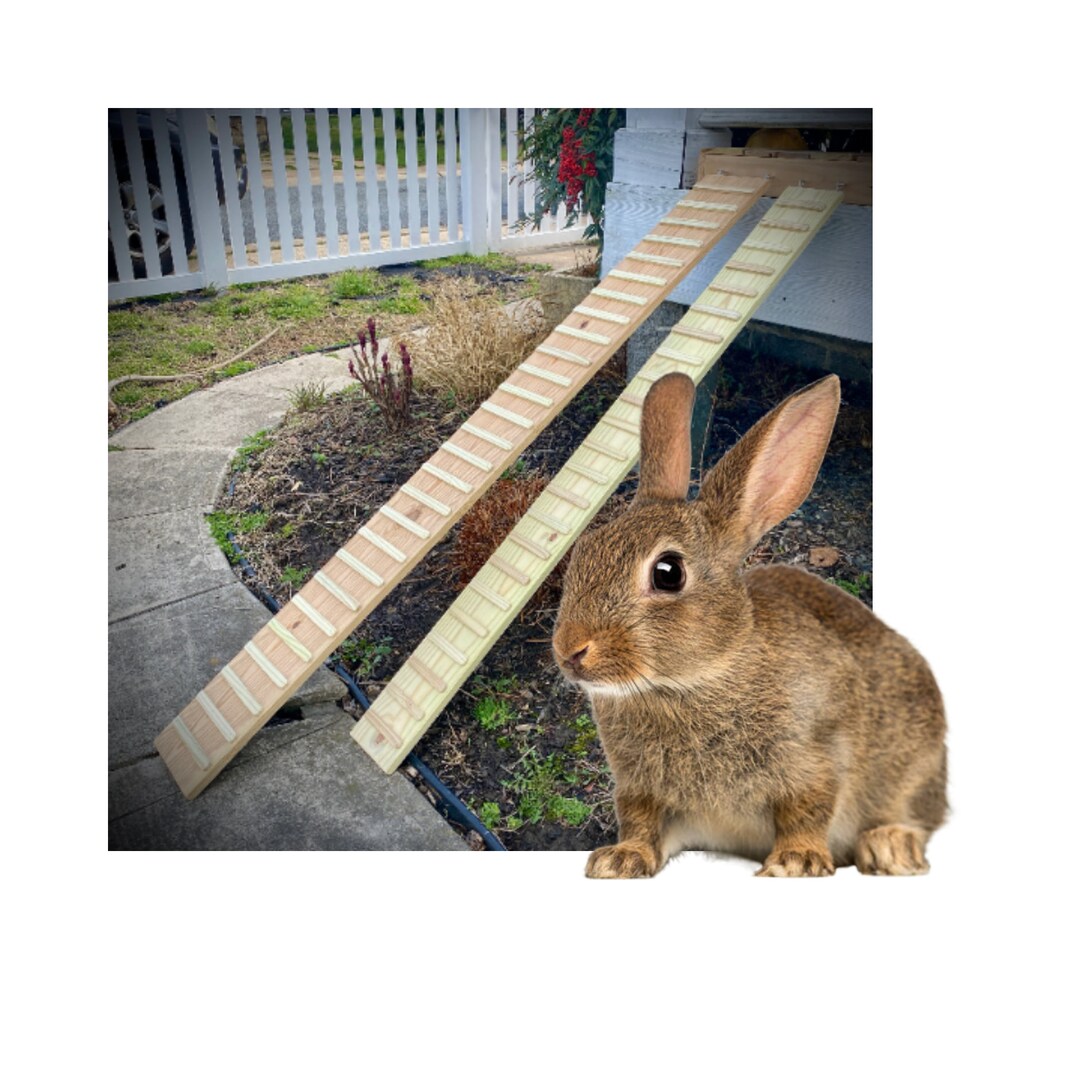 Rabbit Ramp With SIDES Option 5.5 and 7.5 Inches Wide 1070 Long