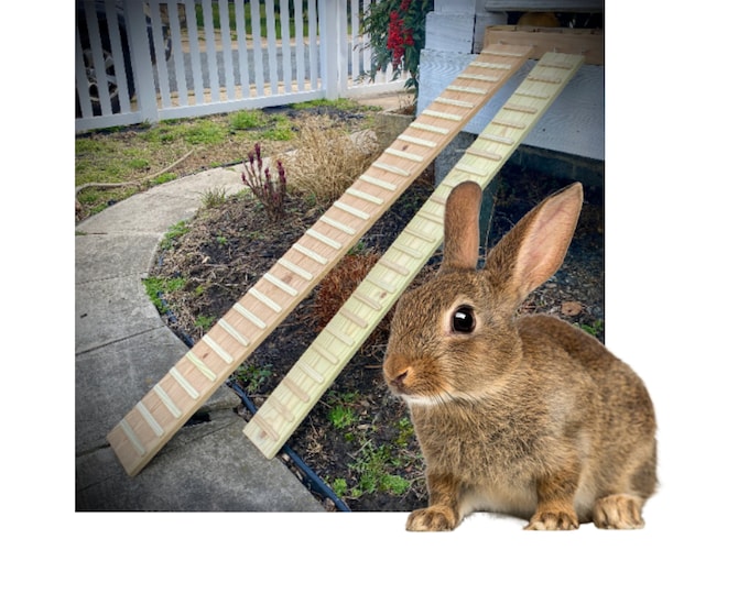 Featured listing image: Outdoor Rabbit Ramp with Sides: Pine Wood, Treaded, Hooked