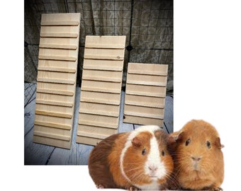 GUINEA PIG Ramp with SIDES Option 14lb 5.5-11.25 Inches wide 10-70" Long Indoor Rex guinea pig, Silkie guinea pig, Baldwin guinea pig 24_1