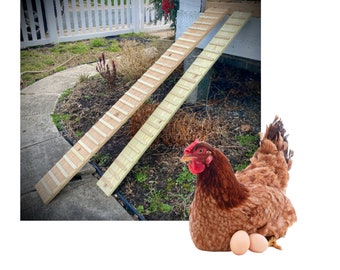 Outdoor Chicken Coop Ramp with Sides: Pressure Treated Pine, Treaded