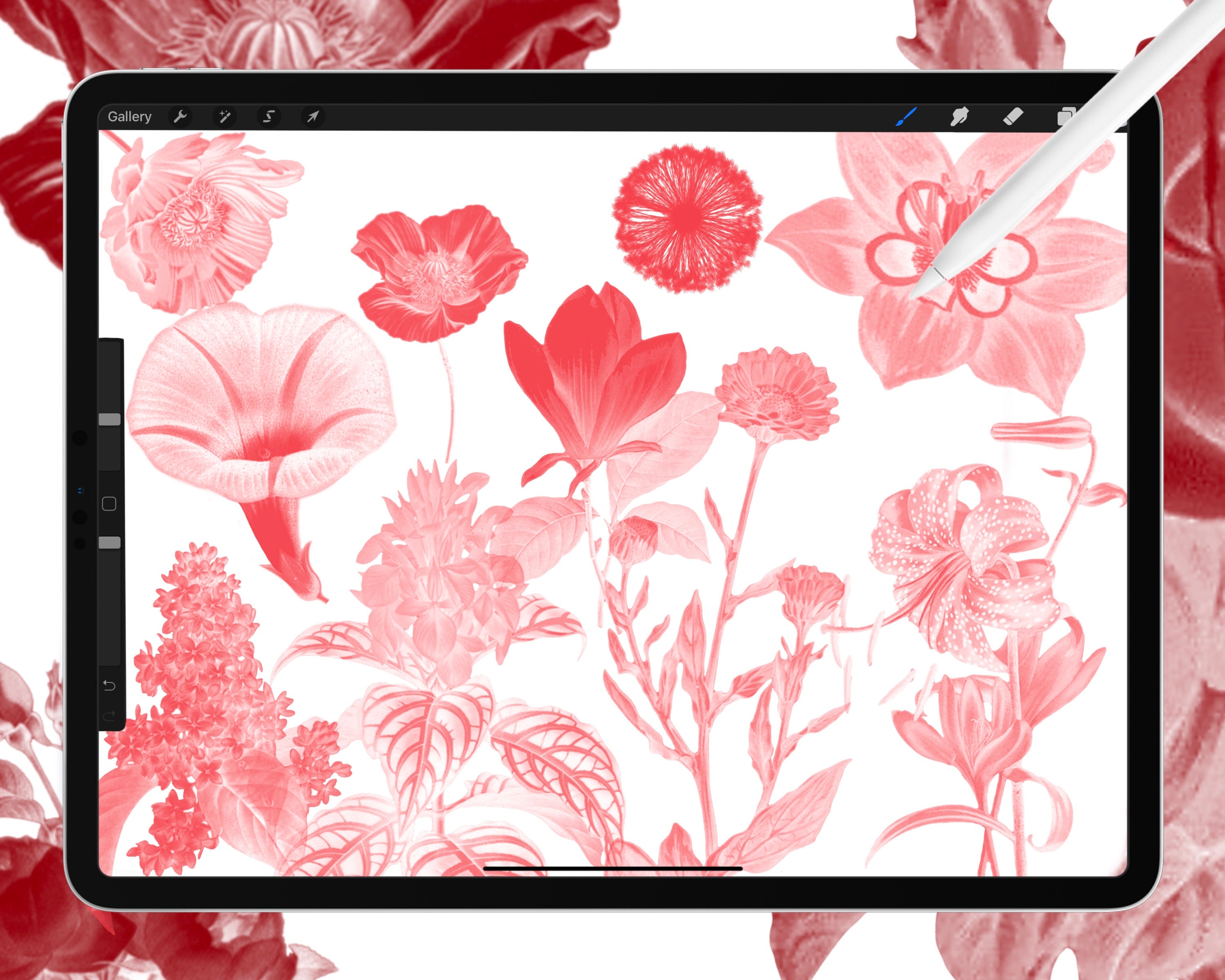 50 Flower Stamp Brushes for Procreate | Vintage Botanical Illustrations ...