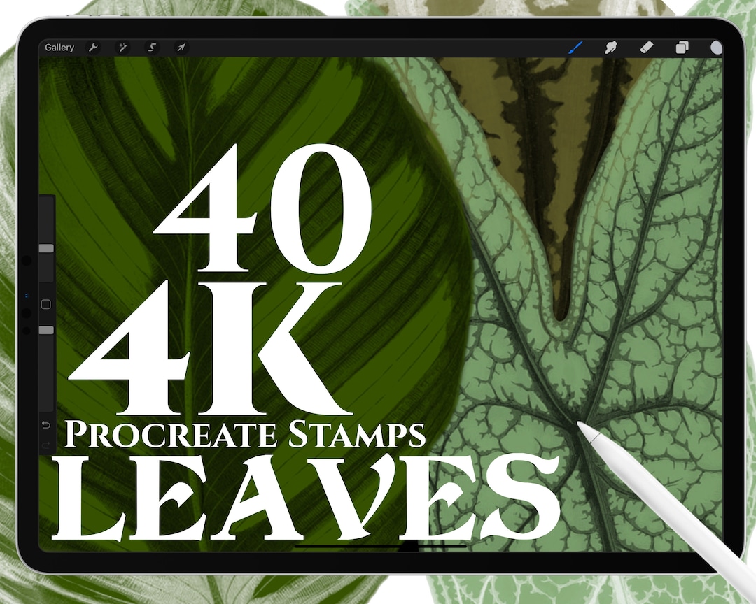 40 Leaf Procreate Brushes, Botanical Stamp Set (digital Download) - Etsy