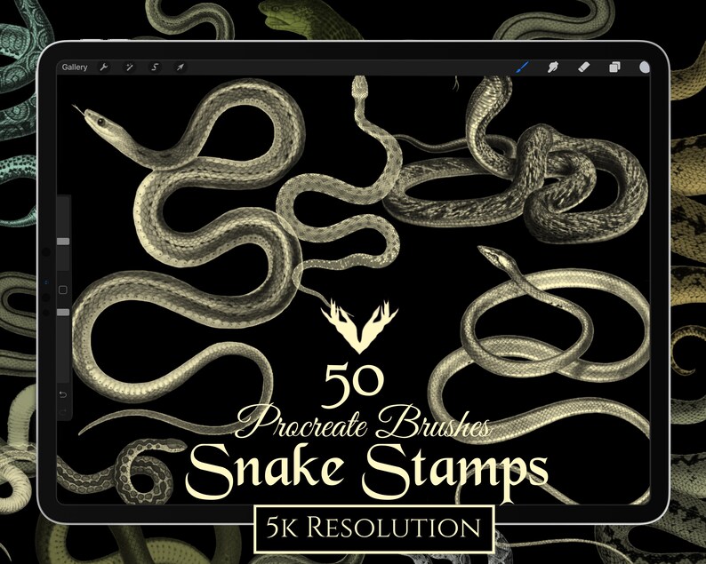 50 Procreate Snake Stamp Brushes/Brush Pack/iPadDigital Etsy