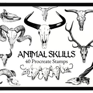 40 Animal Skull Procreate Brushes / Procreate Stamps Brush Skulls Western Gothic Anatomy Bones Horns Cowboy Tattoo