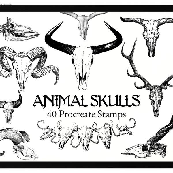 40 Animal Skull Procreate Brushes / Procreate Stamps Brush Skulls Western Gothic Anatomy Bones Horns Cowboy Tattoo