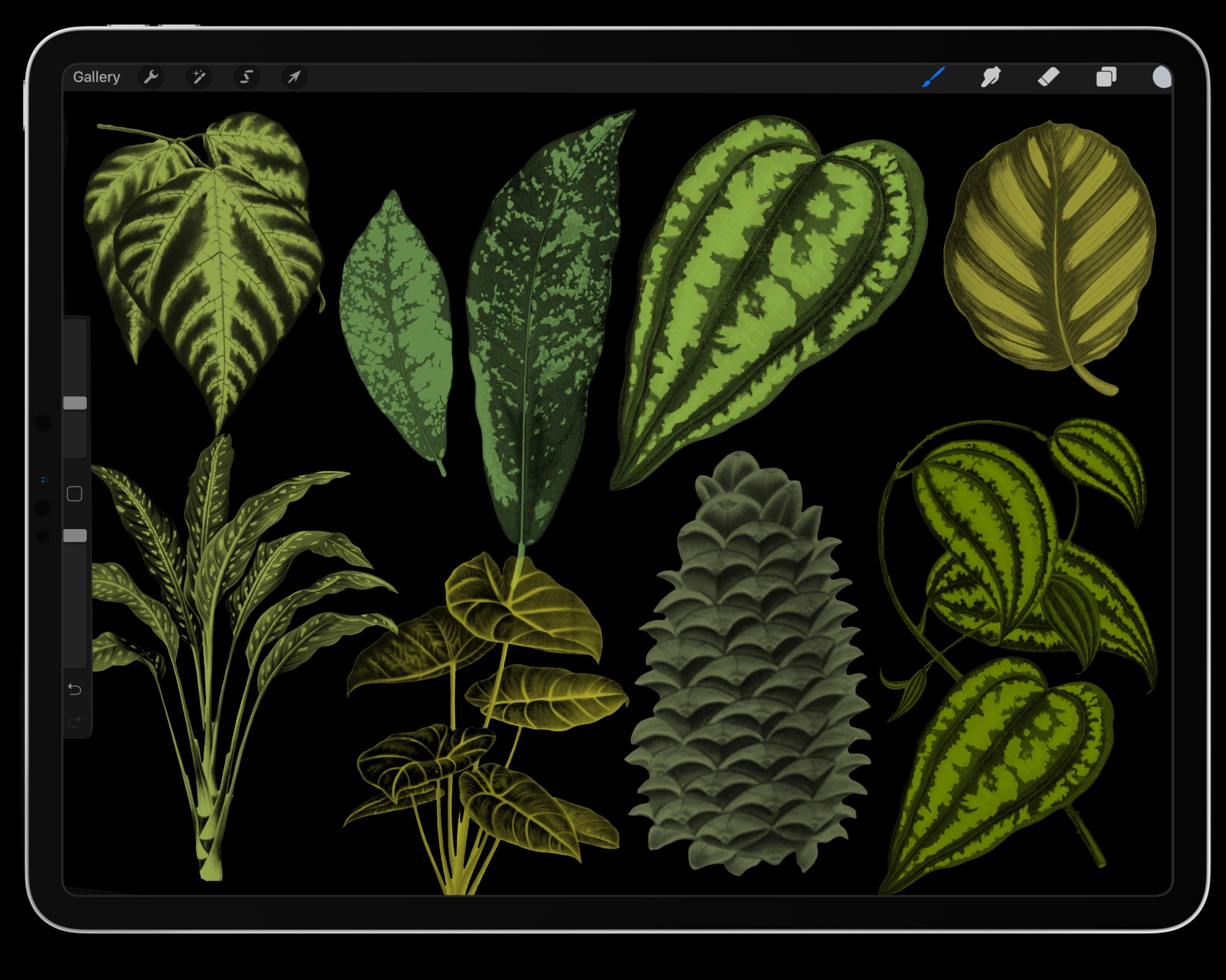 40 Procreate Brushes Leaves Brush Stamps - Etsy