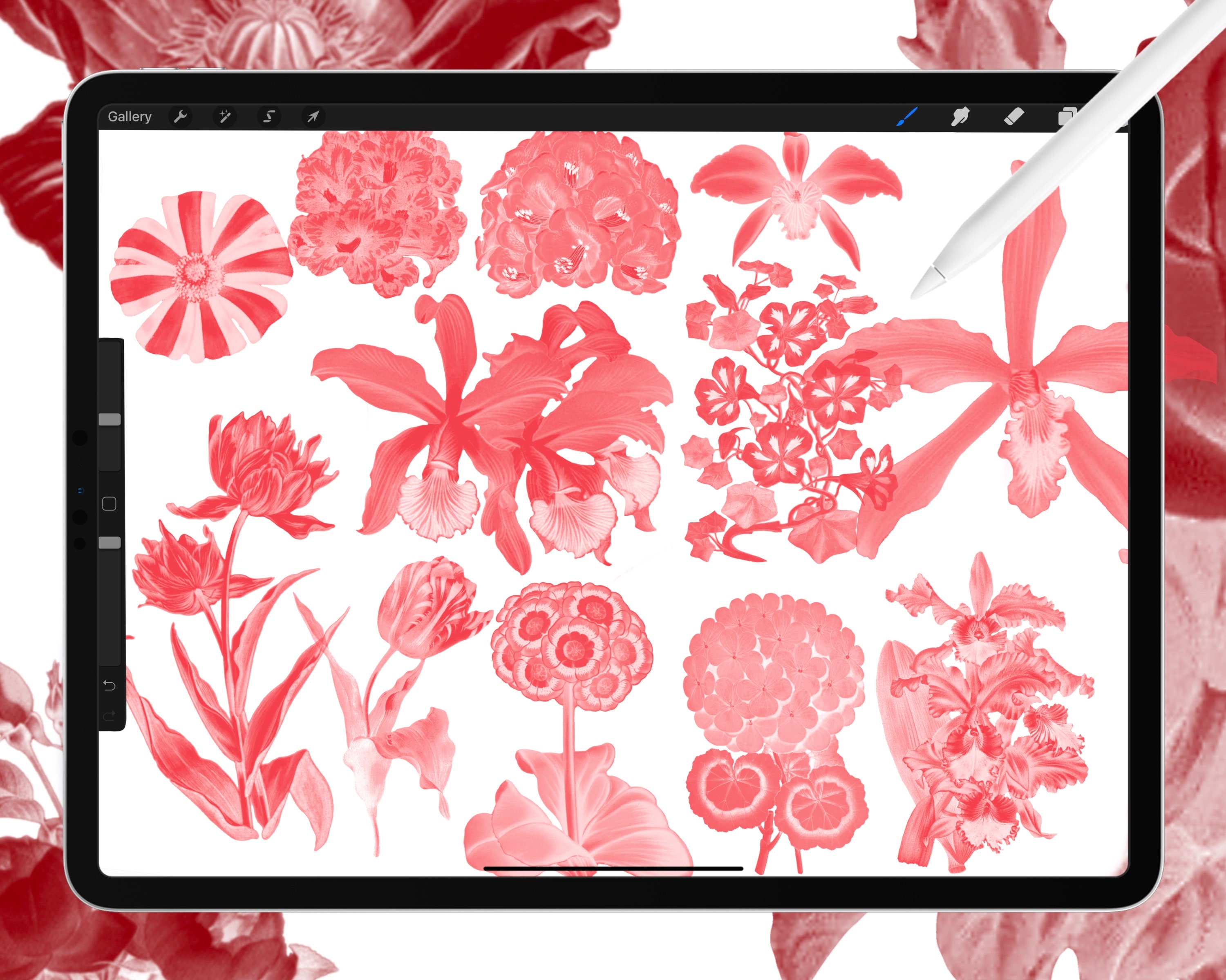 50 Flower Stamp Brushes for Procreate | Vintage Botanical Illustrations ...