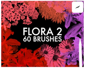 May include: A set of 60 floral-themed digital brushes, featuring a variety of flowers in shades of pink, purple, and red against a black background. The text "FLORA 2 60 BRUSHES" is displayed in white.