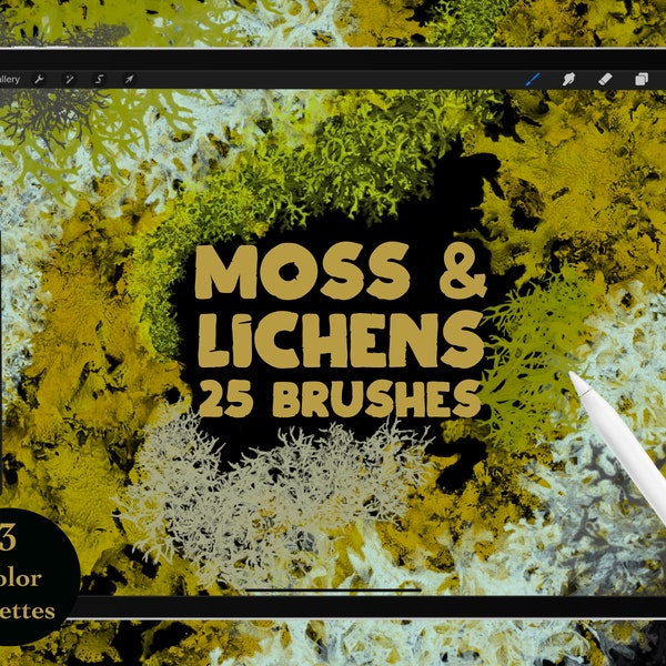 25 Procreate Brushes 3 Palettes De Couleurs Mousse Lichens Nature Plante Brosse Art Numérique Peinture Illustration Champignons Forêt Vert Paysage Texture
