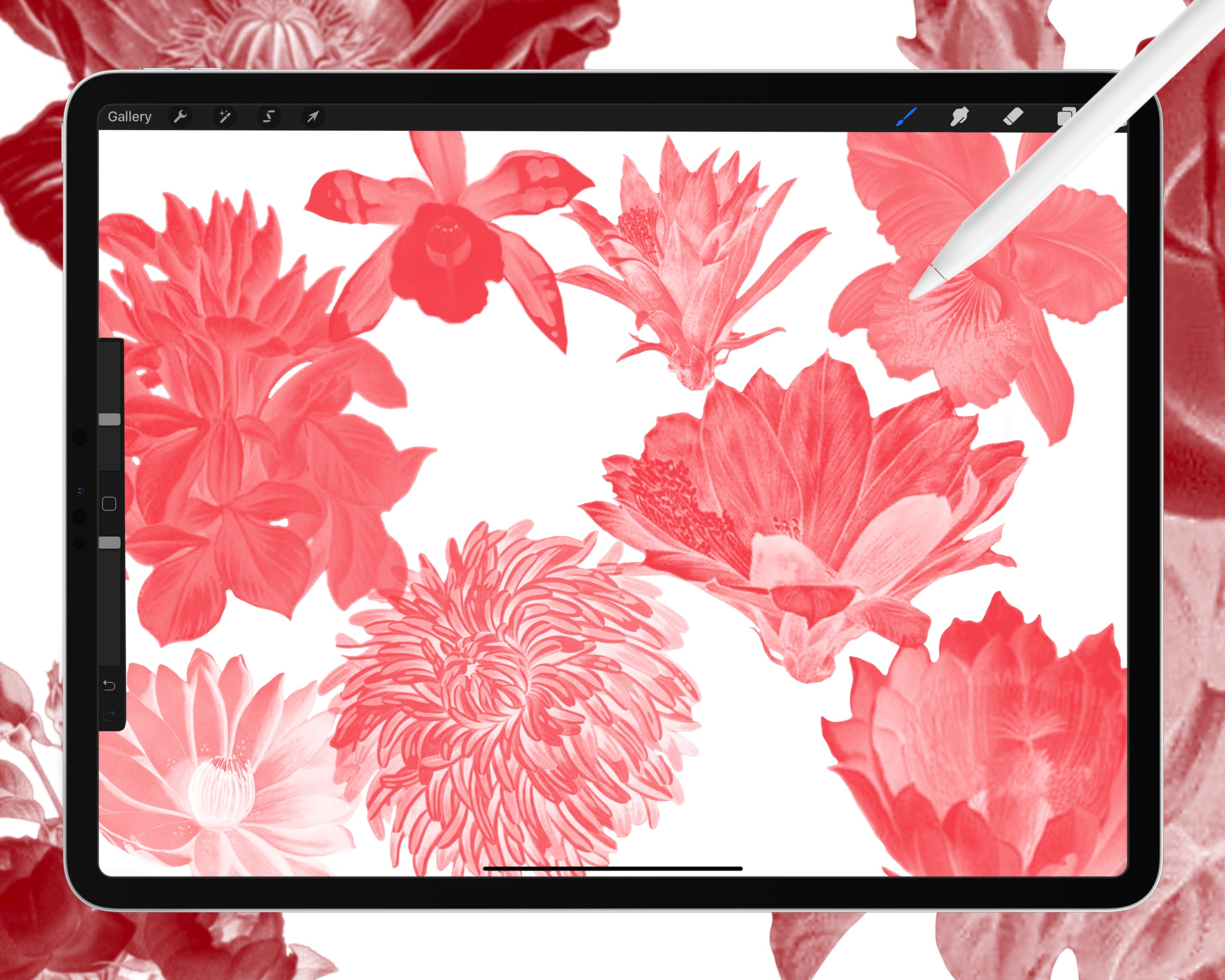 50 Flower Stamp Brushes for Procreate | Vintage Botanical Illustrations ...