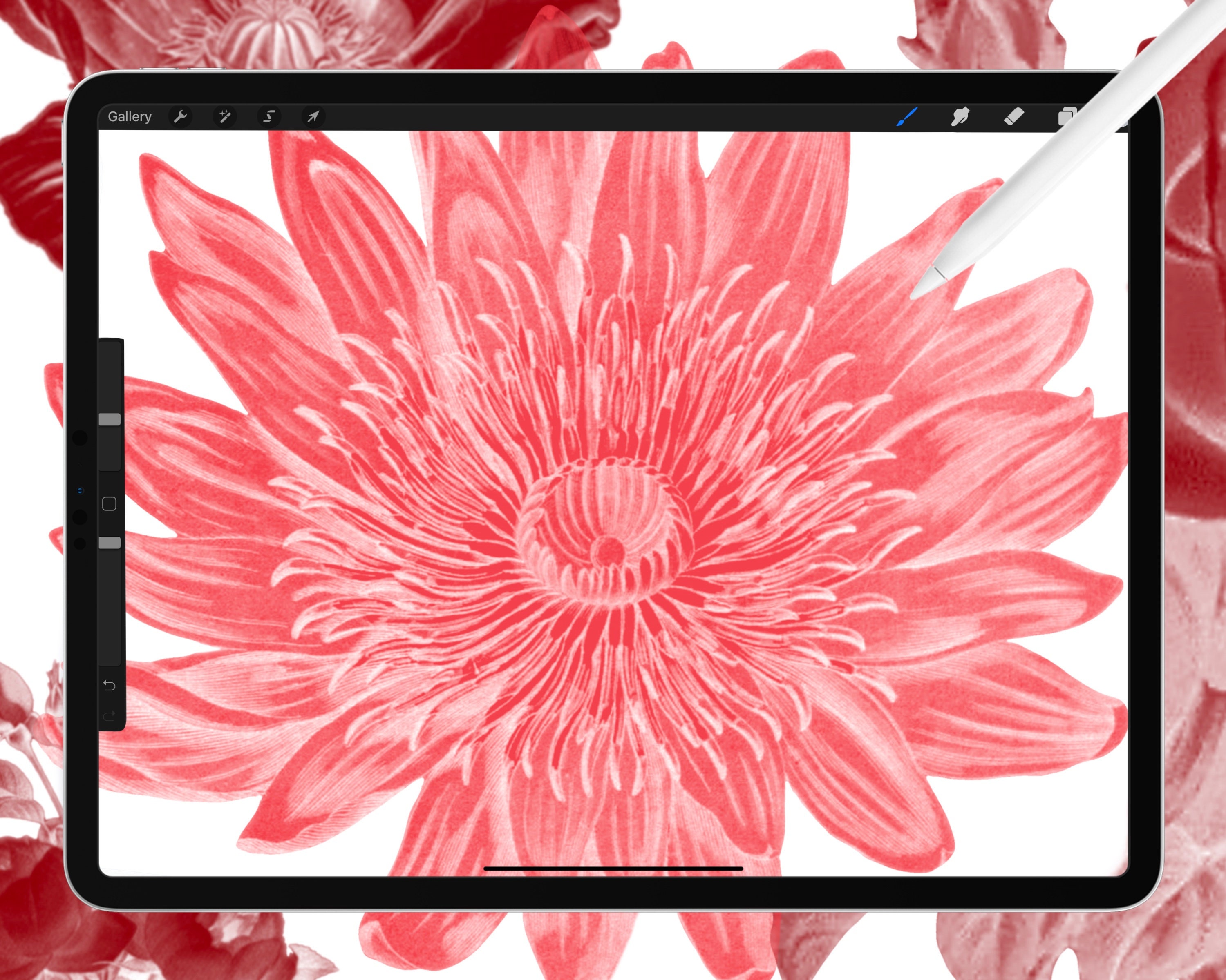 50 Flower Stamp Brushes for Procreate | Vintage Botanical Illustrations ...