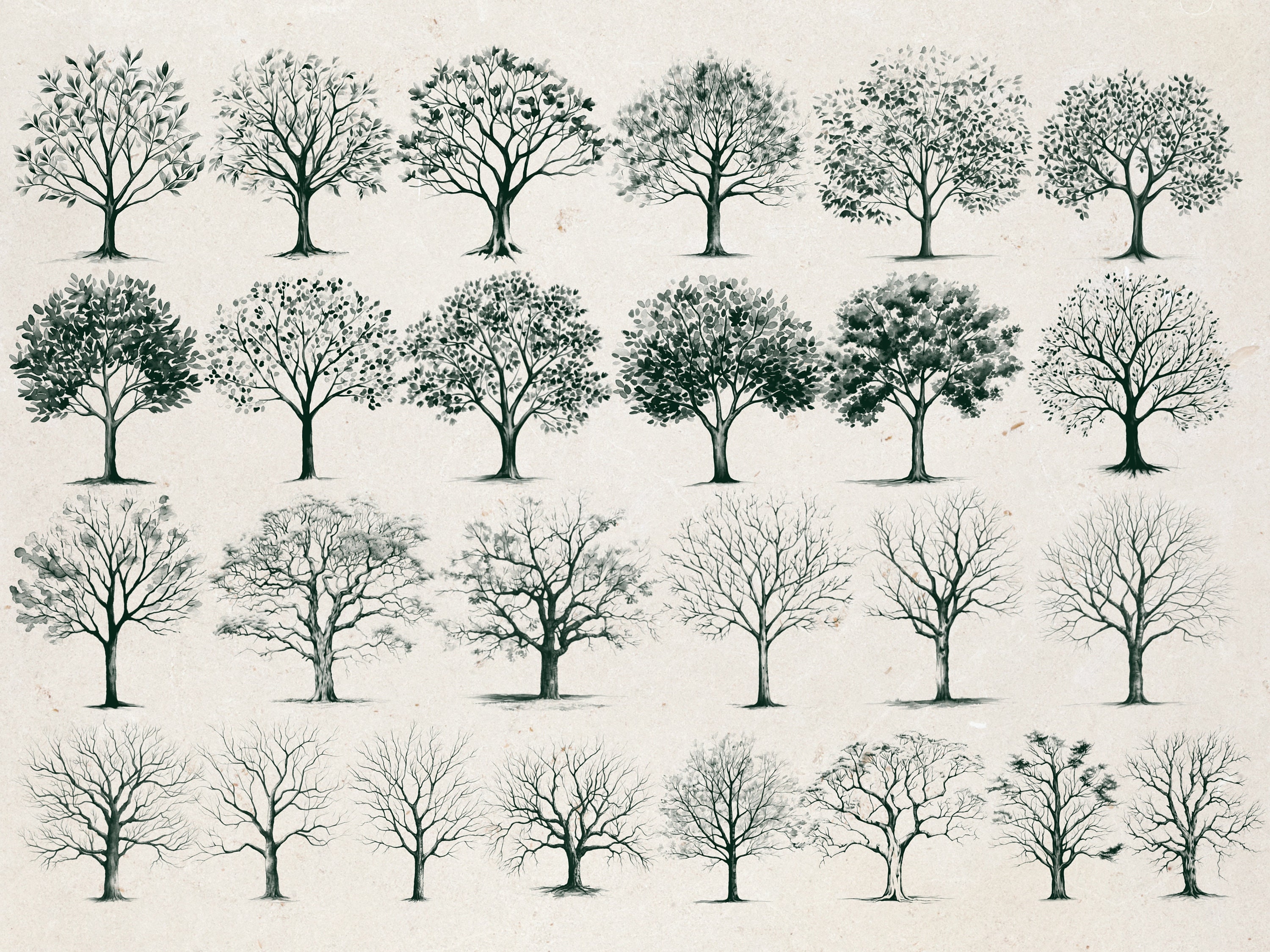 175 Watercolor Tree Stamp Brushes for Procreate (digital Download) - Etsy