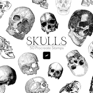 50 Skull Procreate Stamp Brushes / Skulls Stamps Procreate Brush Gothic Skeleton Halloween Anatomy