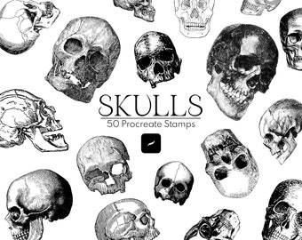 50 Skull Procreate Stamp Brushes / Skulls Stamps Procreate Brush Gothic Skeleton Halloween Anatomy