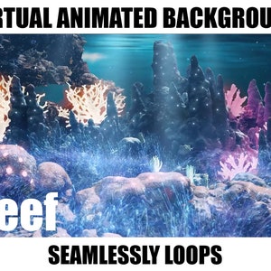 ANIMATED VIRTUAL BACKGROUND | Reef | Instant Digital Download