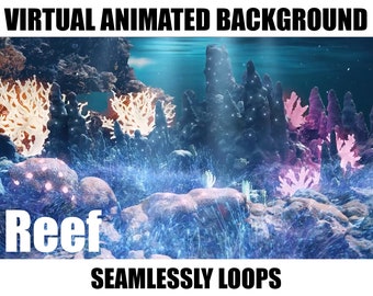 ANIMATED VIRTUAL BACKGROUND | Reef | Instant Digital Download