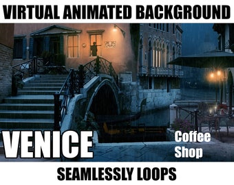 ANIMATED VIRTUAL BACKGROUND | Venice Street | Instant Digital Download