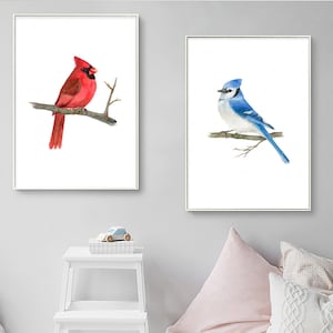 2er Set Vogel Aquarell Malerei Digitaldrucke, roter Kardinal und blau jay Druckbare Kunstdrucke, Vogel Malerei, Vogel Wandkunst
