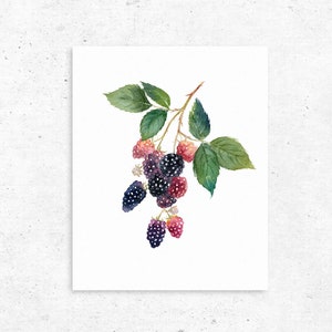 Printable art print - Blackberry watercolor painting art print, fruit painting, kitchen wall decor