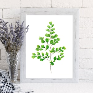 Printable art print - Maidenhair Fern watercolour painting, botanical painting, green leaf print, green home decor