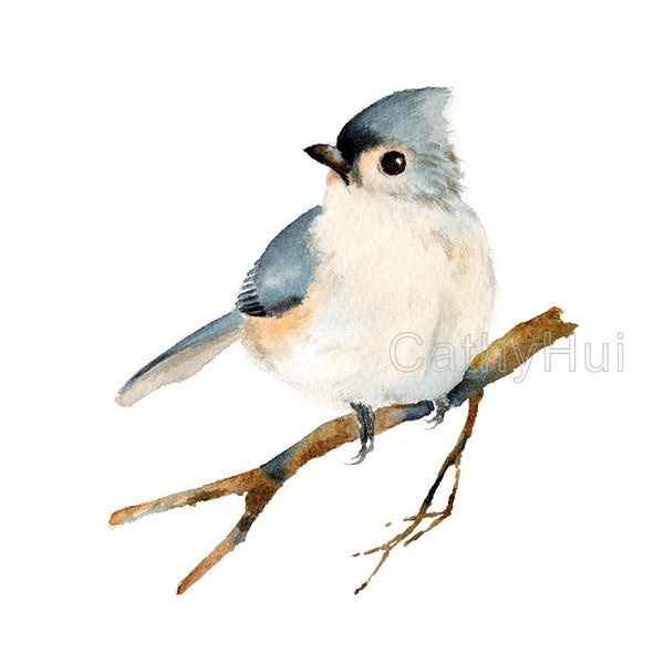 Digitial Print -Tufted Titmouse watercolor painting art print, bird wall art, INTSTAND DOWNLOAD