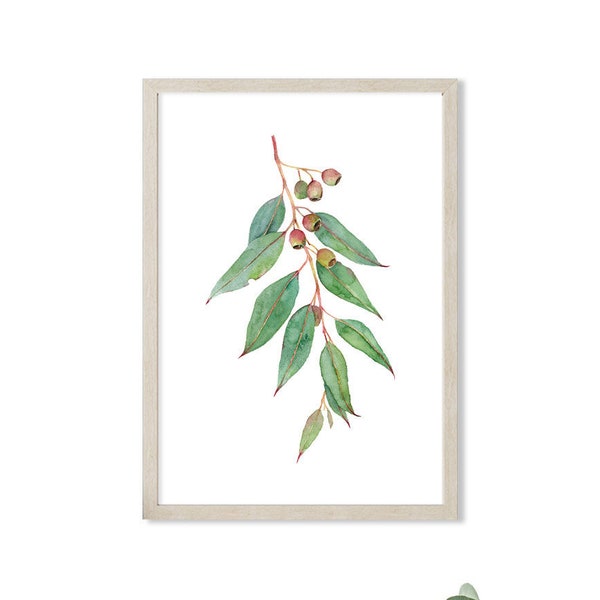 Printable art print - Gum nut Eucalyptus watercolour painting art prints, green botanical painting, green wall decor