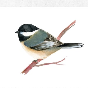 Digitial Print -Little Chickadee Watercolor Painting Art Print, black-capped chickadee bird illustration  INTSTAND DOWNLOAD